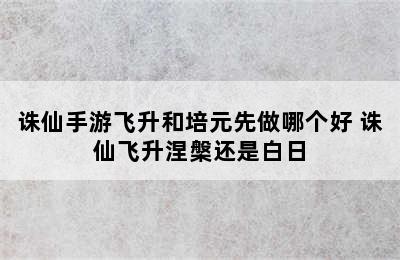 诛仙手游飞升和培元先做哪个好 诛仙飞升涅槃还是白日